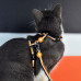 Dashi Stripes Orange & Black Cat Harness + Leash - postroj a vodítko pre mačky, sada, oranžové a čierne pruhy