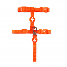 Dashi Neon Orange Cat Harness + Leash - nylonový postroj a vodítko pre mačky, set, neónová oranžová