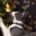 Dashi Spark Cat Collar - Vianočný obojok pre mačky, darčekový vzor