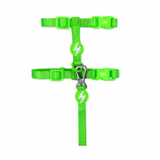 Dashi Neon Green Cat Harness + Leash - nylonový postroj a vodítko pre mačky, set, neónová zelená