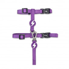 Dashi Solid Cat Harness + Leash - postroj a vodítko pre mačku, set - Fialová