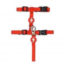 Dashi Solid Cat Harness + Leash - postroj a vodítko pre mačky, sada - Červená