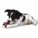 PetSafe Busy Buddy Bouncy Bone - žuvanie s maškrtou pre psa, loptička s kosťou - M