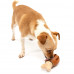 PetSafe Busy Buddy Chompin' Chicken - maškrta pre psov, kuracie stehno - M/L