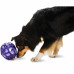 PetSafe Busy Buddy Kibble Nibble - hračka pre psov, vajíčko - S PetSafe Busy Buddy Kibble Nibble - hračka pre psov, vajíčko - S