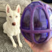 PetSafe Busy Buddy Kibble Nibble - hračka pre psov, vajíčko - M/L