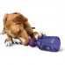 PetSafe Busy Buddy Tug-A-Jug - hračka pre psov, fľaša s ťahadlom - M/L