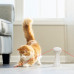PetSafe Multi-Laser Toy - automatický mačací laser, otočný