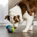 PetSafe Ricochet Electronic Dog Toy - interaktívna hračka pre psa, pískacie loptičky