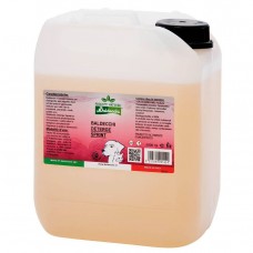 Baldecchi Sprint Cleansing 5L - kvapalina na čistenie umývateľných povrchov, eliminuje nepríjemné pachy