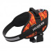 Julius-K9 IDC Powerharness Pixeljuice - postroj pre psa, s odrazkami, oranžové pixely - 3