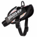 Julius-K9 IDC Powerharness Pretty - postroj pre psa, s odrazkami, kvetinový vzor - Baby 2
