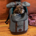 Kurgo Rucksack - batoh pre psov a mačky, šedý