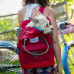 Kurgo Nomad Carrier Red - batoh pre malých psov a mačky, červený Kurgo Nomad Carrier Red - batoh pre malých psov a mačky, červený