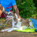 Kurgo Pup Sack Spací vak 102cm - nepremokavý psí spací vak, s teplou podšívkou
