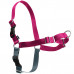 PetSafe Easy Walk Harness Raspberry Pink - postroj a vodítko pre psa, ružový set - M
