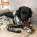 Nylabone Power Chew Basted Blast Bone - tvrdé žuvanie pre psov, kosť s dvoma príchuťami, slanina a steak - L Nylabone Power Chew Basted Blast Bone - tvrdé žuvanie pre psov, kosť s dvoma príchuťami, slanina a steak - L
