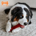 Nylabone Power Chew Basted Blast Bone - tvrdé žuvanie pre psov, kosť s dvoma príchuťami, slanina a steak - XL Nylabone Power Chew Basted Blast Bone - tvrdé žuvanie pre psov, kosť s dvoma príchuťami, slanina a steak - XL