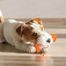 Nylabone Strong Chew Sneaky Snacker - maškrta pre psov s vôňou slaniny s priestorom na maškrty - M Nylabone Strong Chew Sneaky Snacker - maškrta pre psov s vôňou slaniny s priestorom na maškrty - M