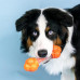 Nylabone Strong Chew Sneaky Snacker - pochúťka pre psa s vôňou slaniny s priestorom na maškrty - L Nylabone Strong Chew Sneaky Snacker - pochúťka pre psa s vôňou slaniny s priestorom na maškrty - L