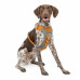 Kurgo Journey Air Harness Orange - postroj na beh pre psov, oranžový - S Kurgo Journey Air Harness Orange - postroj na beh pre psov, oranžový - S
