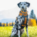 Kurgo Journey Air Harness Orange - postroj na beh pre psov, oranžový - L Kurgo Journey Air Harness Orange - postroj na beh pre psov, oranžový - L