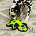 Outward Hound Durablez Gecko M Green - pískacia hračka pre psa, neplnená, zelený gekón