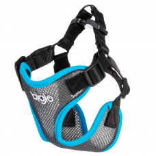 Biglo Air Flow Turquoise - ľahký, vzdušný a beztlakový postroj pre psa, tyrkysový - L