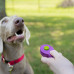 PetSafe Click-R Training Tool - Clicker pre psov, mačky, Purple
