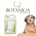 Botaniqa Groom It Shampoo 4L - profesionálny šampón pre psov na prvé základné umytie