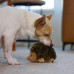 Hračka pre psa Outward Hound Hedgehogz - plyšový ježko s pišťalkou Hračka pre psa Outward Hound Hedgehogz - plyšový ježko s pišťalkou