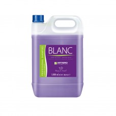 Artero Blanc Shampoo - šampón zvýrazňujúci farbu, pre biele, čierne a strieborné vlasy - Objem: 5L
