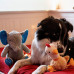 Max&Molly Huggles Slon Susi - plyšová hračka pre psov, slon s pišťalkou