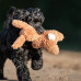 Max&Molly Huggles Rabbit Lotta - plyšová hračka pre psa bez pískadla, chlpatý králik Max&Molly Huggles Rabbit Lotta - plyšová hračka pre psa bez pískadla, chlpatý králik