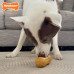 Nylabone Strong Chew Peanut - tvrdá žuvacia tabletka pre psov s vôňou arašidového masla Nylabone Strong Chew Peanut - tvrdá žuvacia tabletka pre psov s vôňou arašidového masla