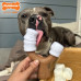 Nylabone Extreme Chew Marshmallow Stick - tvrdá žuvacia tyčinka pre psov, marshmallows na tyčinke s vôňou arašidového masla Nylabone Extreme Chew Marshmallow Stick - tvrdá žuvacia tyčinka pre psov, marshmallows na tyčinke s vôňou arašidového masla