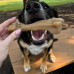 Nylabone Gourmet Femur Bone L - odolná žuvacia maškrta pre veľké psy s arómou bravčových rebierok