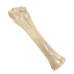 Nylabone Gourmet Knuckle Bone XL - odolná žuvacia maškrta pre veľmi veľké psy s príchuťou hovädzej sviečkovice Nylabone Gourmet Knuckle Bone XL - odolná žuvacia maškrta pre veľmi veľké psy s príchuťou hovädzej sviečkovice