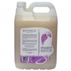 Botaniqa Show Line Harsh&Shiny Coat Shampoo - šampón pre drôtosrsté psy - 4L