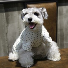 Dobaz tenká, velúrová kombinéza pre psa, hviezdicové pyžamo, krémová - Veľkosť: M
