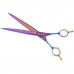 P&W Poodle Rainbow Scissors - profesionálne nožnice na starostlivosť, rovné - Veľkosť: 8"
