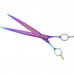 P&W Poodle Rainbow Scissors - profesionálne nožnice na starostlivosť, rovné - Veľkosť: 9"