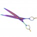 P&W Poodle Rainbow Curved Scissors - profesionálne nožnice na úpravu, ohnuté - Veľkosť: 8"