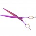 P&W ButterFly Straight Scissors - profesionálne nožnice na starostlivosť, rovné - Veľkosť: 8"