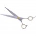 P&W Alfa Omega Scissors - profesionálne ošetrujúce nožnice s krátkou rukoväťou, rovné - Veľkosť: 7,5 "