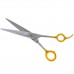 P&W Rony De Munter Scissors - profesionálne nožnice na starostlivosť, rovné - Veľkosť: 7,5"